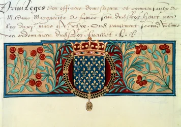 Armes de France (omgivet af halskæden af Saint Michel Ordenen (Saint Michel) og overvundet af den kongelige krone)
