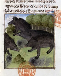 Orner - i "" Jagtbog af Gaston Phoebus, greve af Foix, Lord of Béarn""