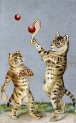 Katte, der spiller tennis - postkort tidligt i det 20. århundrede.