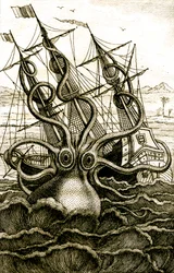 Kolossal blæksprutte, ca. 1802 (kobberstik)