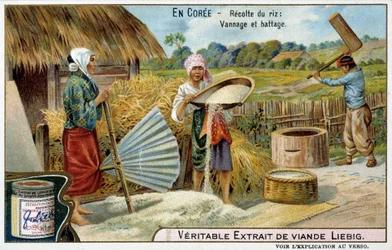 Coree: rishøst, vævning og tærskning - chromo. Liébig, v.1900