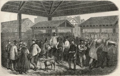 Skaber slagterkød på markedet på rue des Prouvaires i 1. arrondissement i Paris - Indgravering i "Tableau-de-Paris"" af Edmond Texier 1852