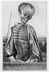 Doctor Death, fra en timebog, illustration fra videnskab og litteratur i middelalderen og renæssancen, skrevet og indgraveret af Paul Lacroix, 1878