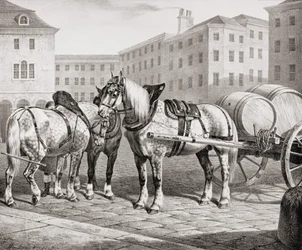 Engelske gårdheste, 1823