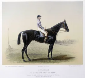 Berømt væddeløbshest - i "" The Centaur"" 1866