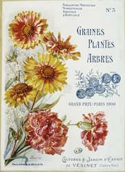 Gaillardes og nelliker - Forside af magasinet "Seeds Plants Trees", nr. 3