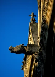 Gargoyle of Laon Cathedral i Aisne (02)