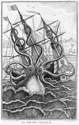 Giant Octopus, illustration fra General and Particular Natural History of Molluscs af Denys-Montfort, ca. 1802-03