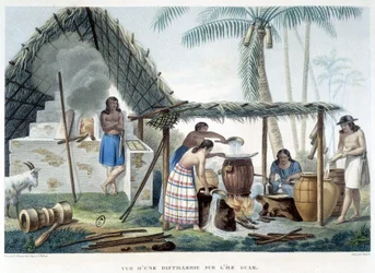 Guam Island Distillery.