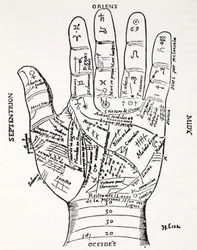 Hånd med symboler: Nord, Øst, Midy, Vest