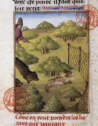 Hare Jagt - i "" Jagtbog af Gaston Phoebus, greve af Foix, Lord of Béarn""