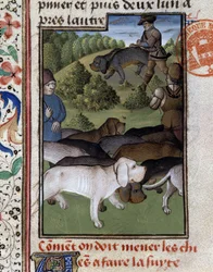 Jagthunde - i "" Jagtbog af Gaston Phoebus, greve af Foix, Lord of Béarn""
