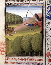 Jagt med bue: hare - i "Jagtbog af Gaston Phoebus, greve af Foix, herre af Béarn"