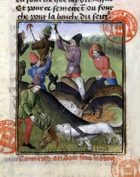 Jagtscene: hjortenes andel for flokken af hunde - i "" Jagtbogen af Gaston Phoebus, greve af Foix, Lord of Béarn""