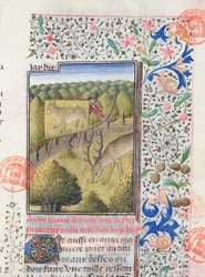 Jæger, der skjuler sig bag et lokkefugl, mens han jagter en kronhjort, fra Livre de la Chasse af Gaston Phebus de Foix (1331-91)
