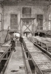 Interiør af en fiskefarm fra det 19. århundrede i Huningue, Frankrig, fra Les Merveilles de la Science, udgivet ca. 1870 (gravering)
