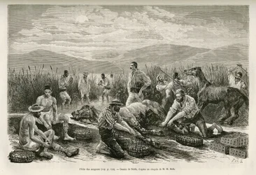 The Fishing of the Leeches, tegnet af Sahib, for at illustrere historien om Henry Belle: Travel in Greece