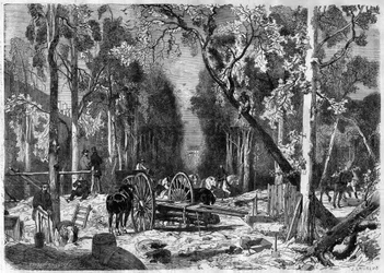 Le bucheron au jardin de Luxembourg i Paris i 1870 - Stik fra 1870