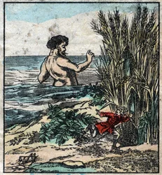 Lemuel Gulliver gemmer sig for en kæmpe i Brobdingnag. Illustration til "" Gulliver