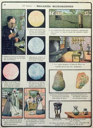 Louis Pasteur (1822-95) og bakterielle sygdomme, fra Les Sciences Physiques et Naturelles, Paris, 1908