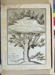 Menneskets stamtræ, frontispice for genealogiske og historiske oversigter over patriarker, konger, kejsere af Claude Delisle (1644-1720), udgivet i Paris, 1718