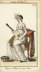 Merveilleuse spiller guitar