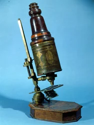 Mikroskop (træ og messing)