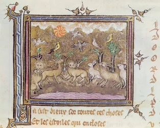 Ms 1044 fol.18 The Creation of the Animals, fra Ovide Moralise skrevet af Chretien Legouais