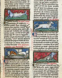 MS 320 Fol.115r Sea Monsters, fra 