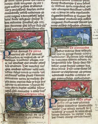 Ms 320 Fol.116 Sea Monsters, fra 
