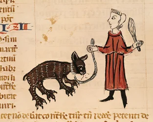 Ms. 372, fol. 241v: En bjørnetrækker, fra Gratians dekret