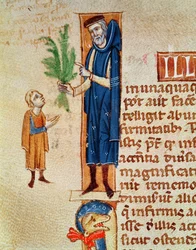 Ms 413 f.92v Medicinal Plants, illustration fra Traite de Medecine af Claudius Galenus (c.130-c.201) oversat af Gerard de Cremone (1114-87)