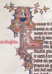 Ms 7 fol.199v Historikert initial L, der forestiller Jesses træ, fra Bible de Jean dEstampes, 13.-14. århundrede
