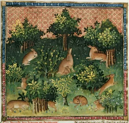 Fr 616 fol.24v Harer i en skov, fra Livre de la Chasse af Gaston Phebus de Foix (1331-91)