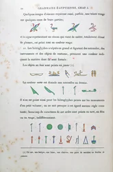 Noter om farvning af visse hieroglyffer, fra Grammaire Egyptienne af Jean Francois Champollion (1790-1832) 1836