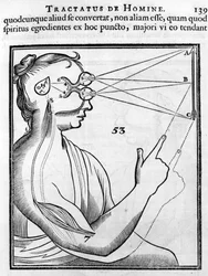 Oftalmologi: øjet og synet. Fra "Tractatus de Homine" af Rene Descartes