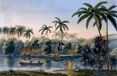 En del af landsbyen Matavae, kokospalmer og anden frugt, Tahiti, fra Voyage around the World på Corvette Coquille af løjtnant Louis Isodore Duperrey, udgivet 1826