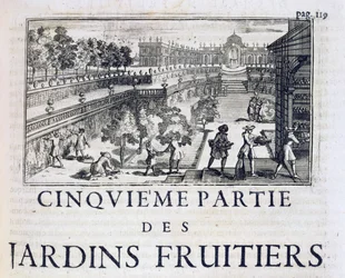 Plantning af frugttræer, fra Le Parfait Jardinier, eller Instruction pour les Jardins Fruitiers et Potager, af Jean de la Quintinye, udgivet 1695