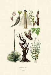 Planter