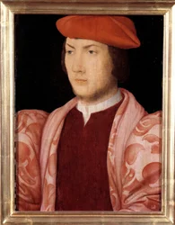 Portræt af Odet de Coligny, kardinal af Chatillon i 1534 (lyskens søn af Gaspard de Coligny, Marechal af Frankrig og bror til admiral Gaspard de Coligny) (1517-1571) omkring 1535 Maleri af den franske skole i det 16. århundrede. Svag. 0,32x0,23m. Versaille