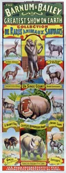 Plakat, der reklamerer for Collection de Rares Animaux Sauvages til Barnum og Bailey cirkus