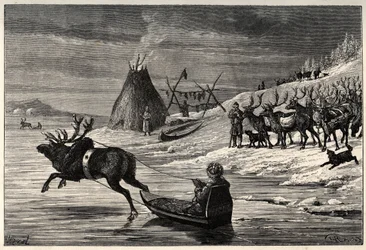 Rensdyrbesætning i Lapland - gravering fra "" Manden og Bete" af Arthur Mangin - 1872 -