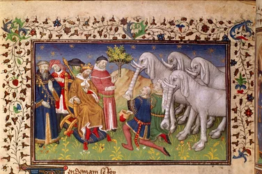 Royal 20 B. XX, fol.82v, Alexander givet hvide elefanter, fra 