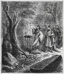 STRUFERTARI (fest i det gamle Rom for at rense de sprængte træer) - Indgravering i "" Videnskaber bragt til forståelse af alle - populær fysik og kemi"" af Alexis Clerc - Slutningen af det 19. århundrede. Privat samling.