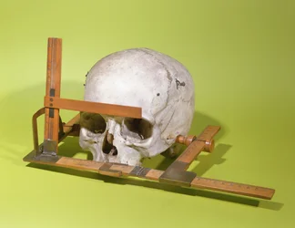 Kranie i et ansigtsgoniometer konstrueret af Paul Broca (1824-88) (træ og kobber)