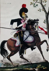 Soldat fra det franske husholdningskavaleri under imperiets periode (farve litho)