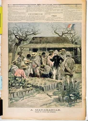 Undervisning i dyrkningsmetoder til de indfødte på Madagaskar, fra Le Petit Journal, 7. november 1896