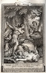 Telemaque leverer Antiope fra et vildsvin - indgravering af 1798 af Monnet i "Les Aventures de Telemaque, fils d