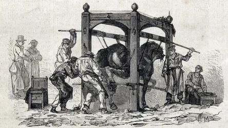 Den nationale veterinærskole i Alfort - Frankrigs store skoler - Veterinærskolen i Maisons-Alfort i 1866 - skoning af genstridige heste - stik i »Le Monde illustré« fra 1866