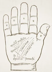 The Right Hand, Principal Lines, kopi af en illustration fra Chiromantia af Ioannes ab Indagine, 1531, brugt i en History of Magic, udgivet sent i det 19. århundrede